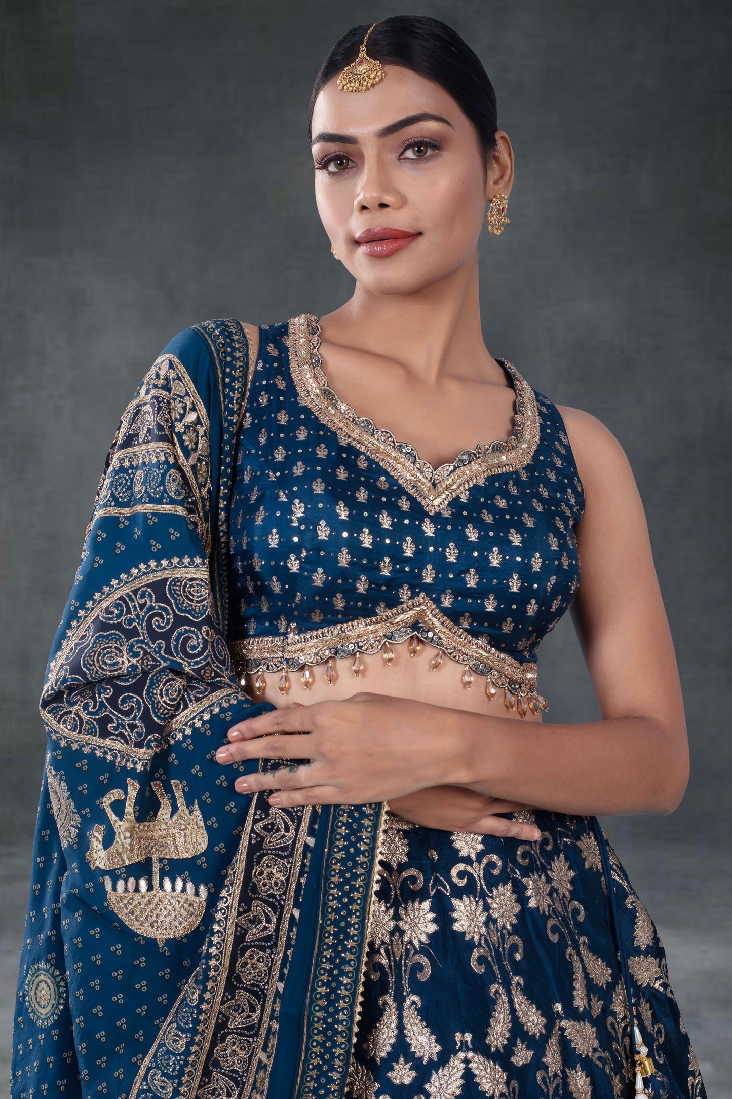 Party Wear Lehenga- T050123S