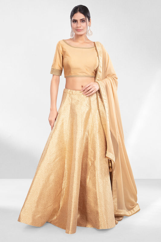 Party Wear Lehenga- J172590N