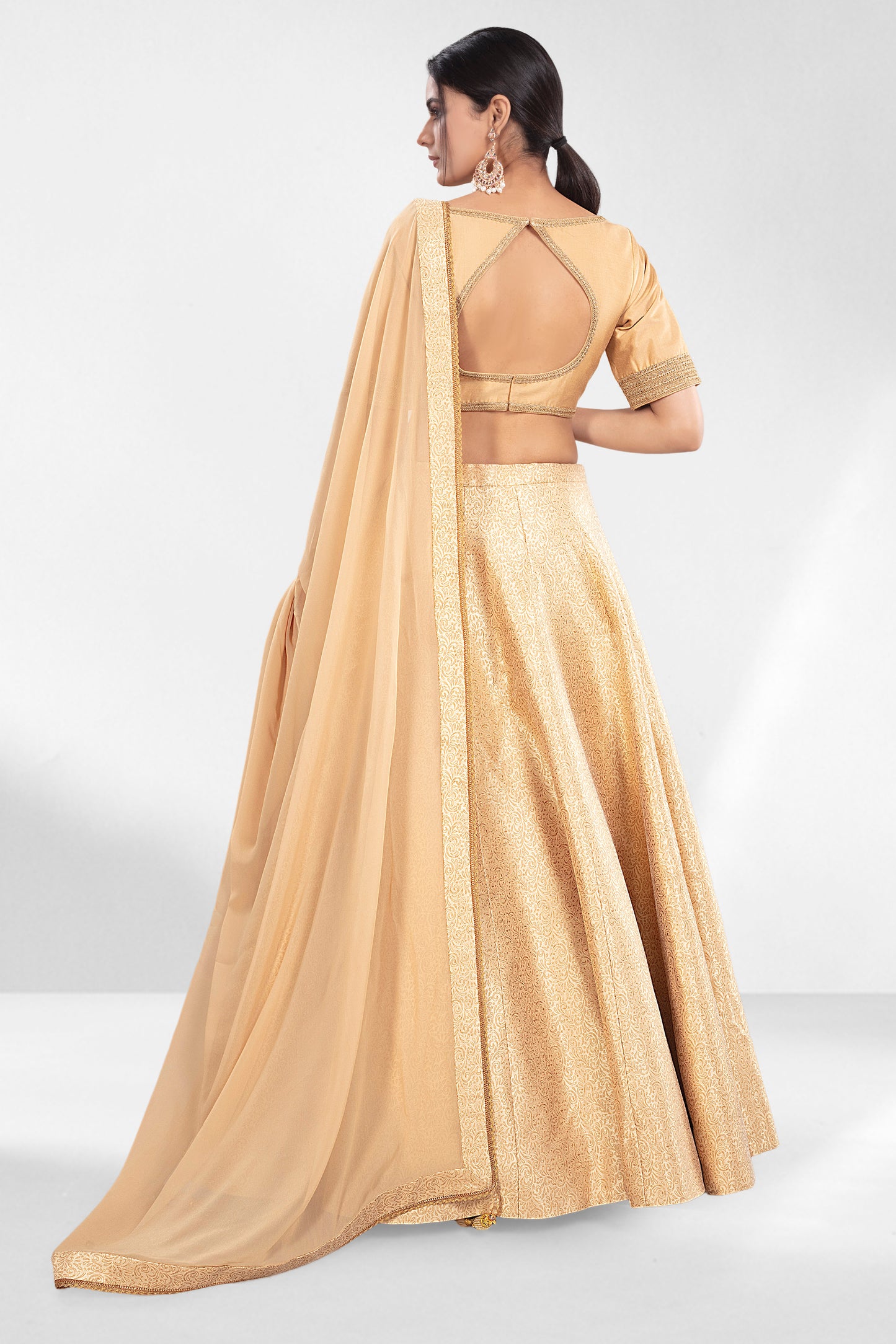 Party Wear Lehenga- J172590N