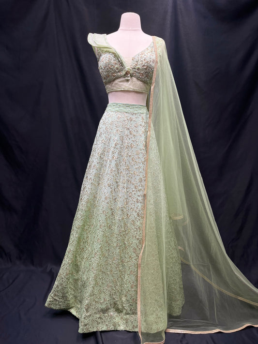 Party Wear Lehenga D-206
