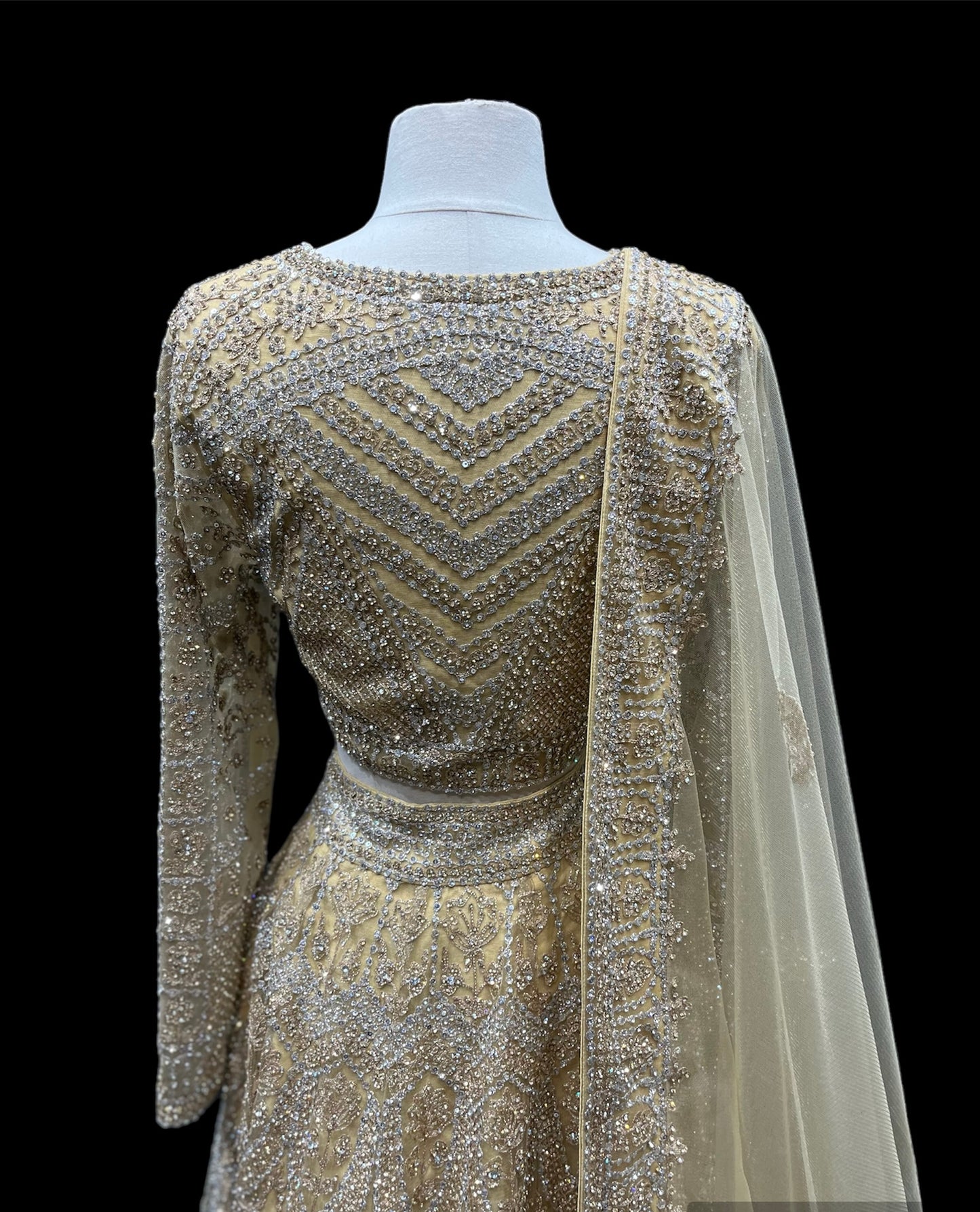 Party Wear Lehenga D-245