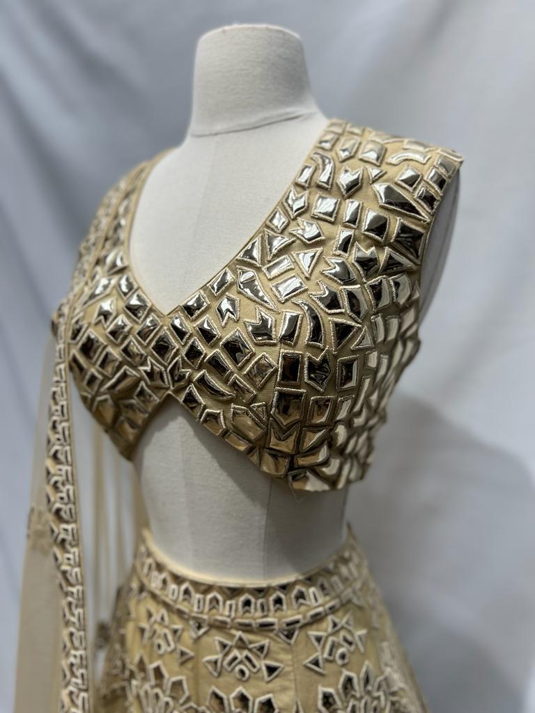 Party Wear Lehenga D-135