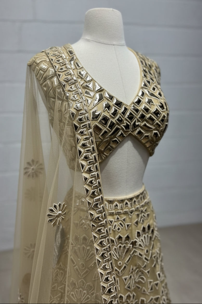 Party Wear Lehenga D-135