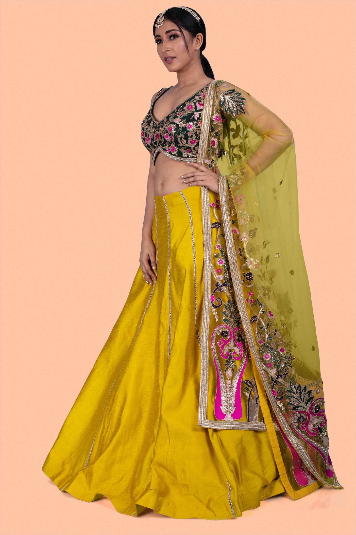 Party Wear Lehenga D-252