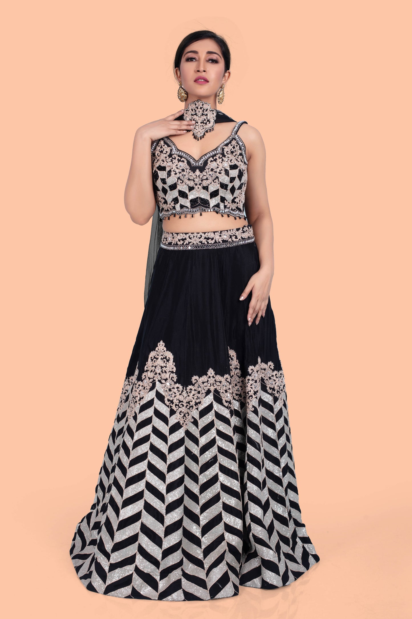 Party Wear Lehenga D-280