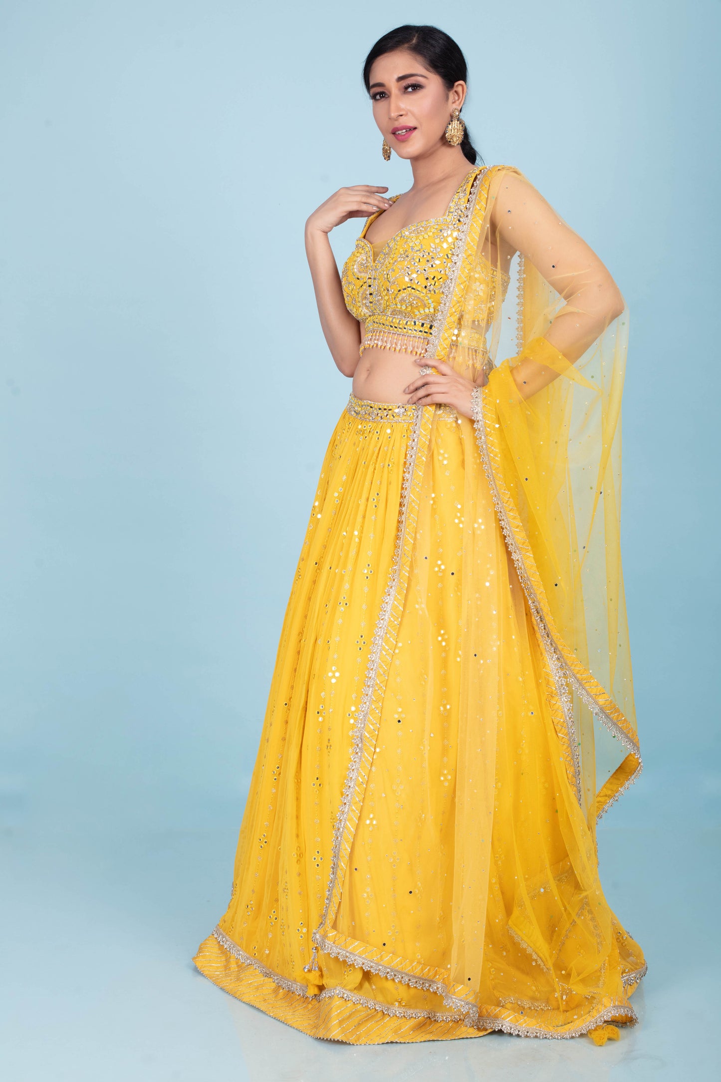 Party Wear Lehenga D-303