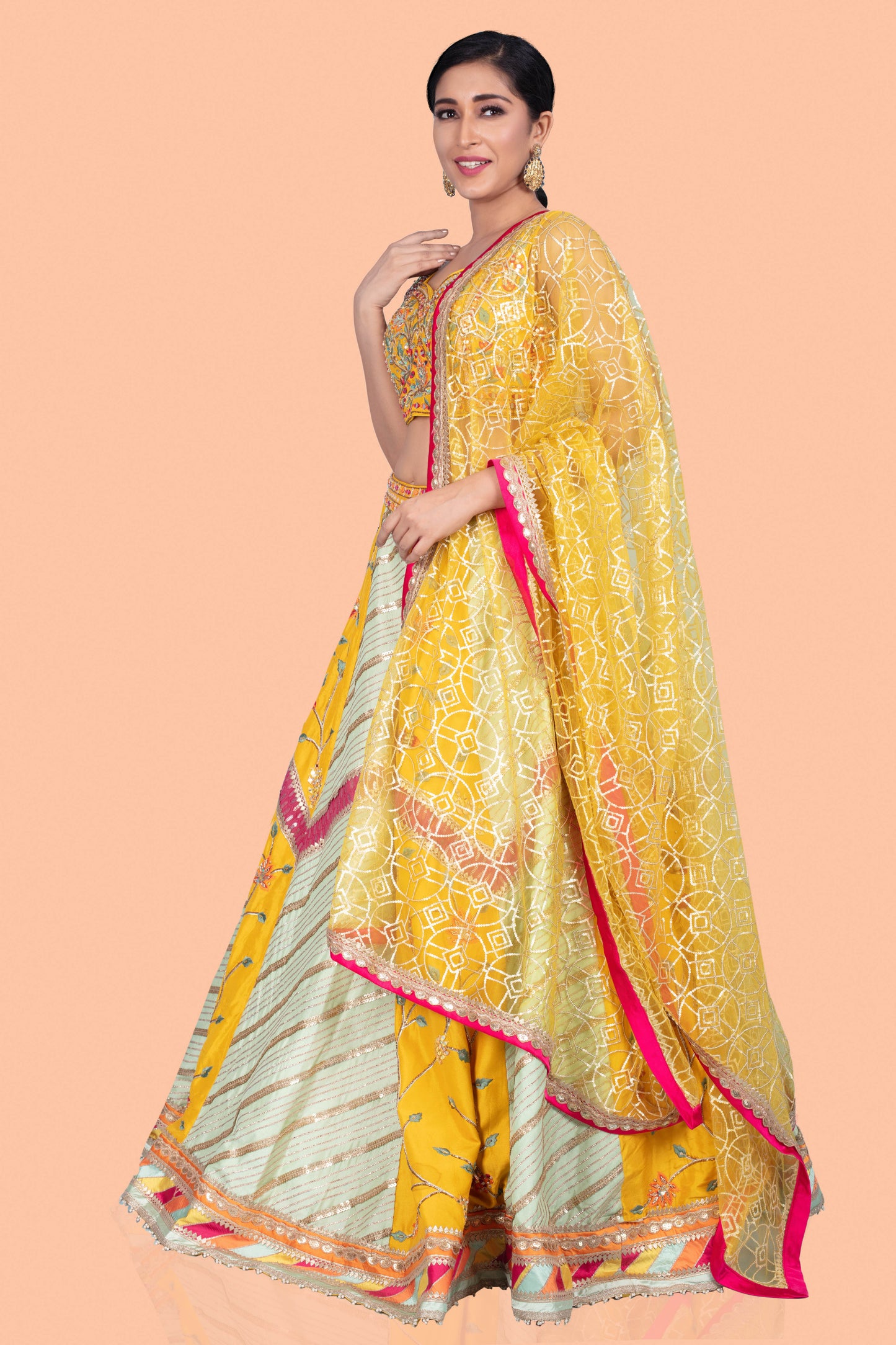 Party Wear Lehenga D-255