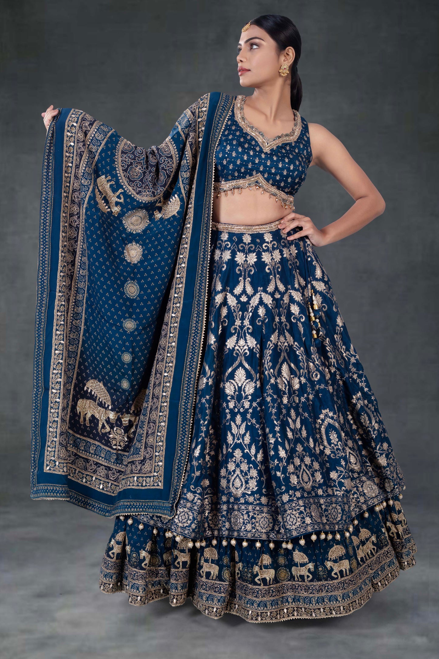 Party Wear Lehenga D-348