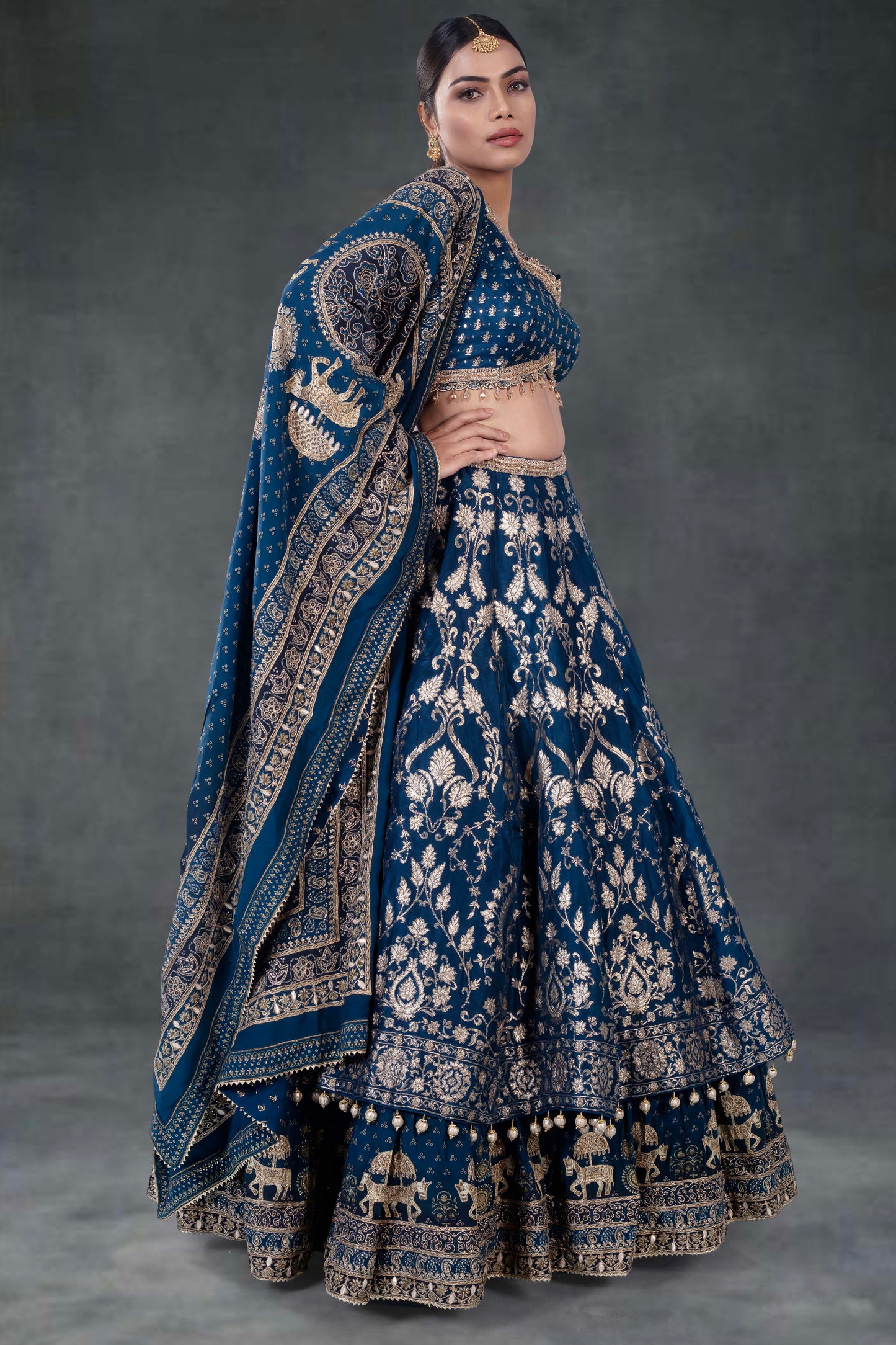 Party Wear Lehenga D-348