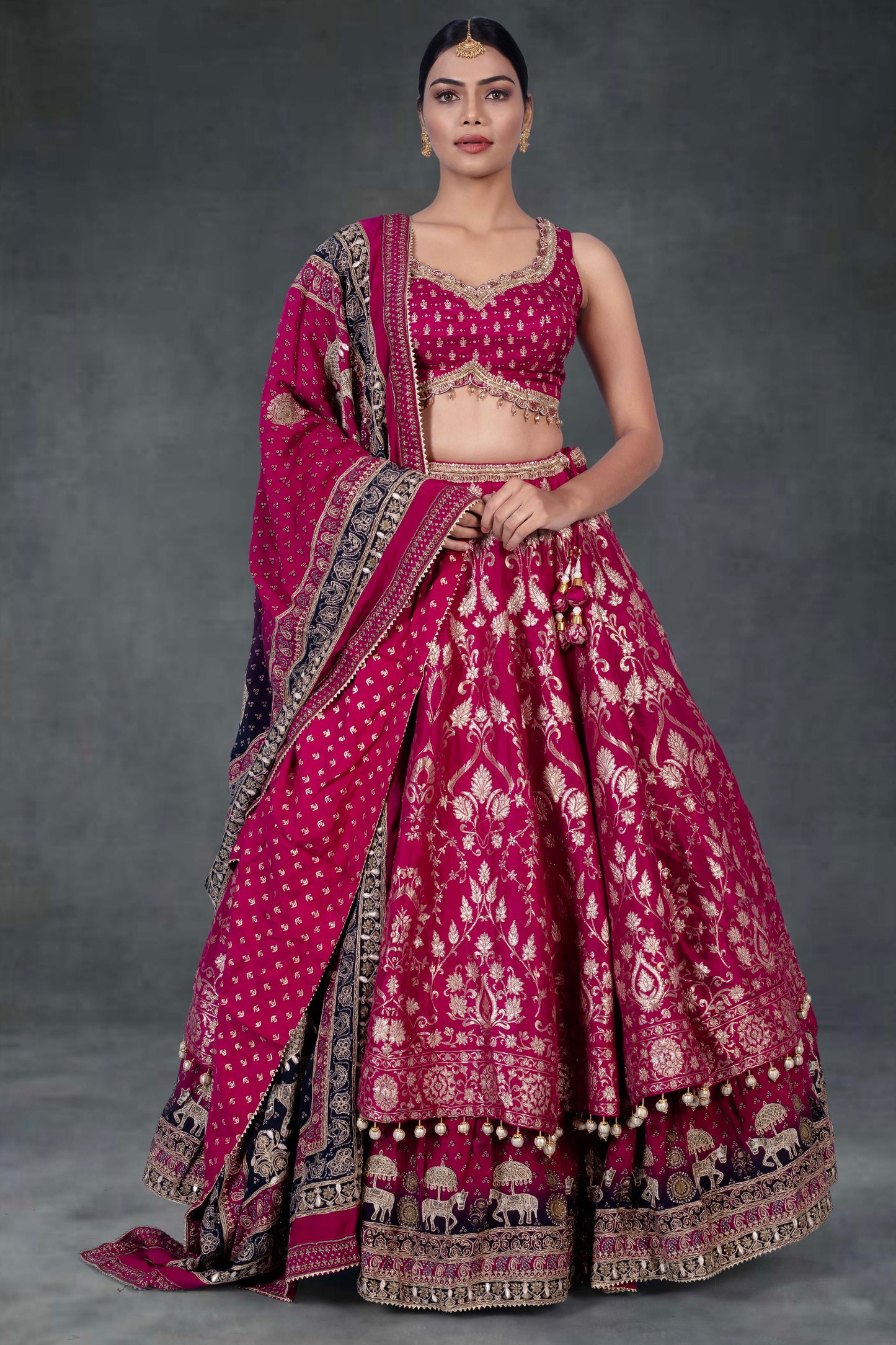 Party Wear Lehenga D-313