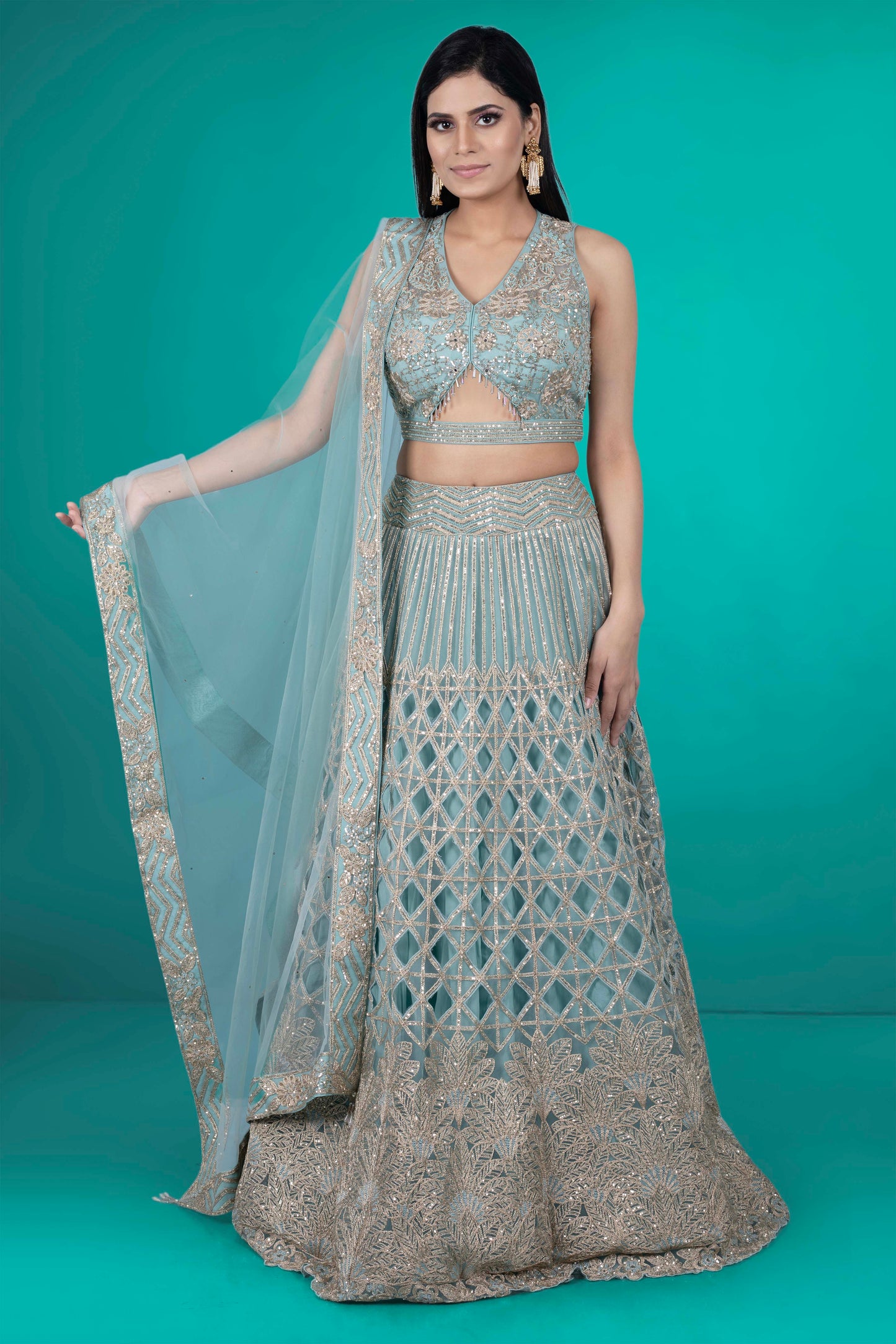 Party Wear Lehenga D-239