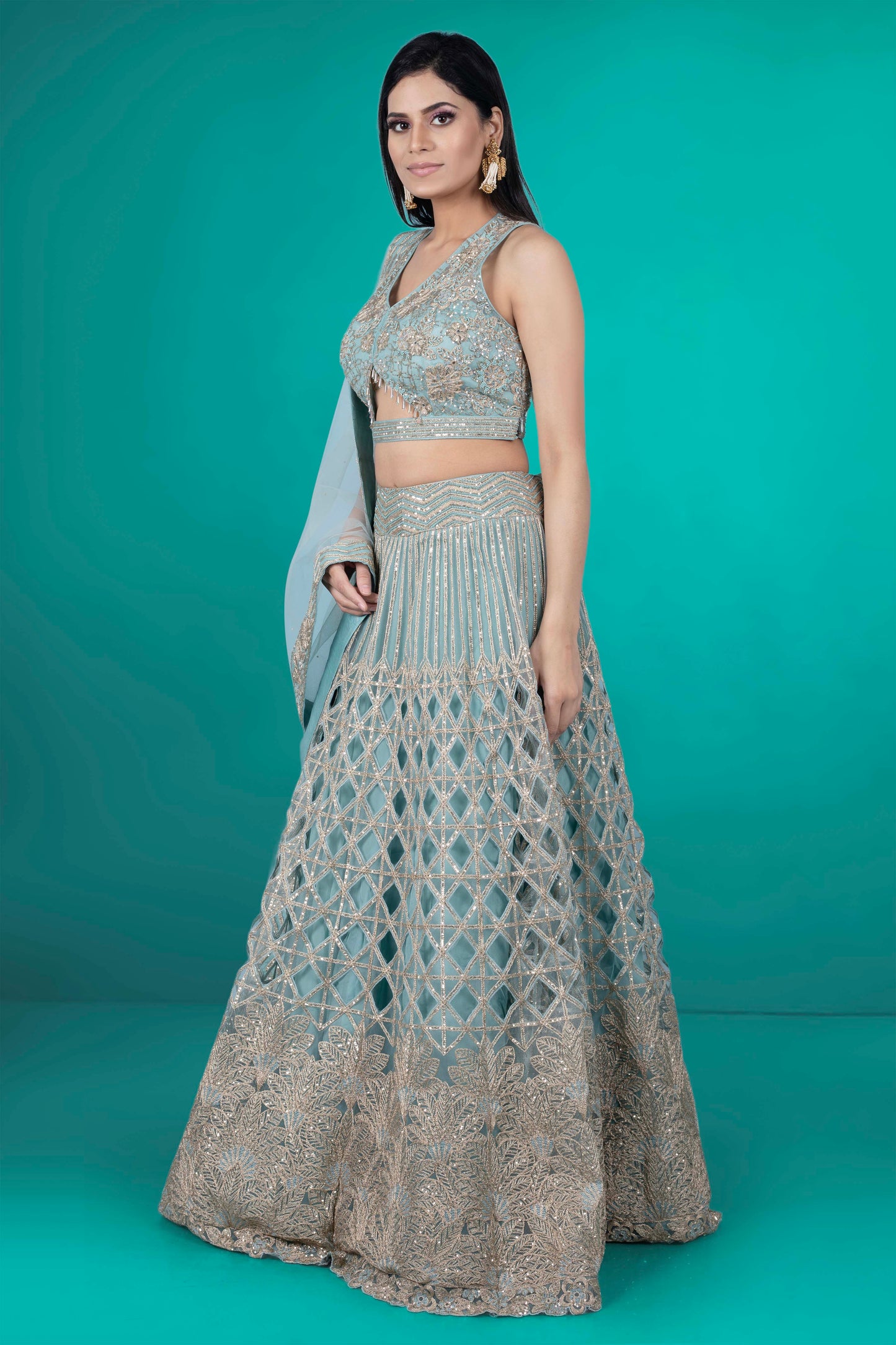 Party Wear Lehenga D-239