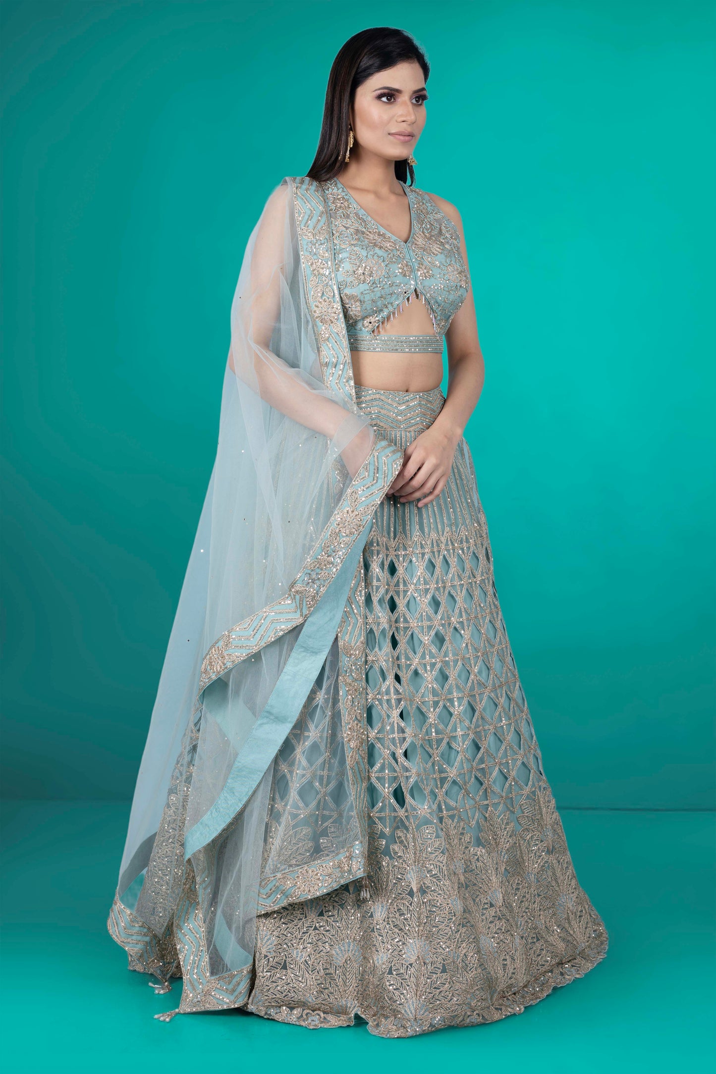 Party Wear Lehenga D-239