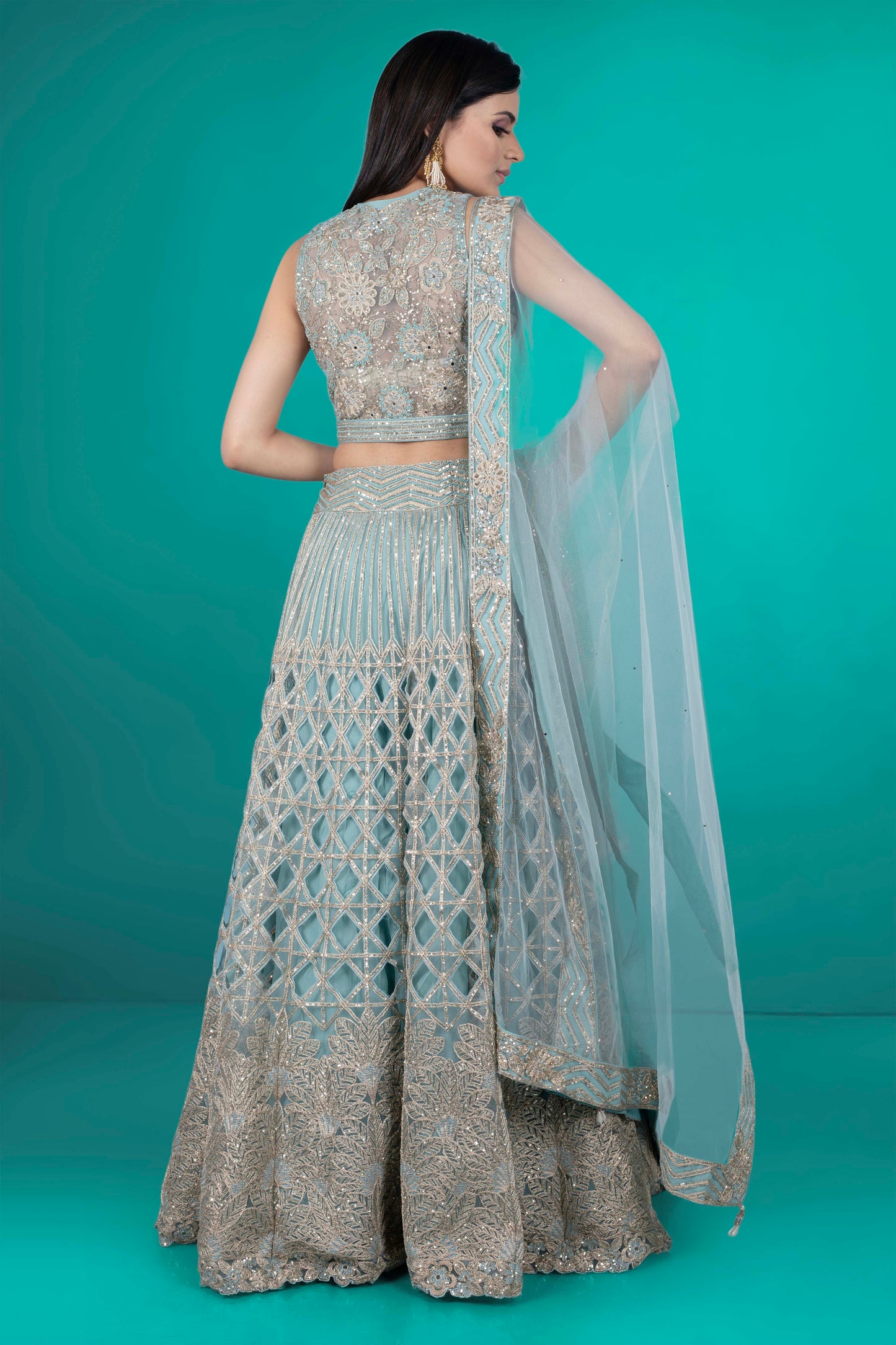 Party Wear Lehenga D-239