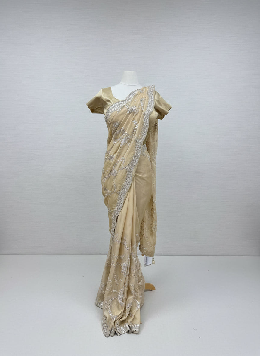 Fancy Saree- A170124N