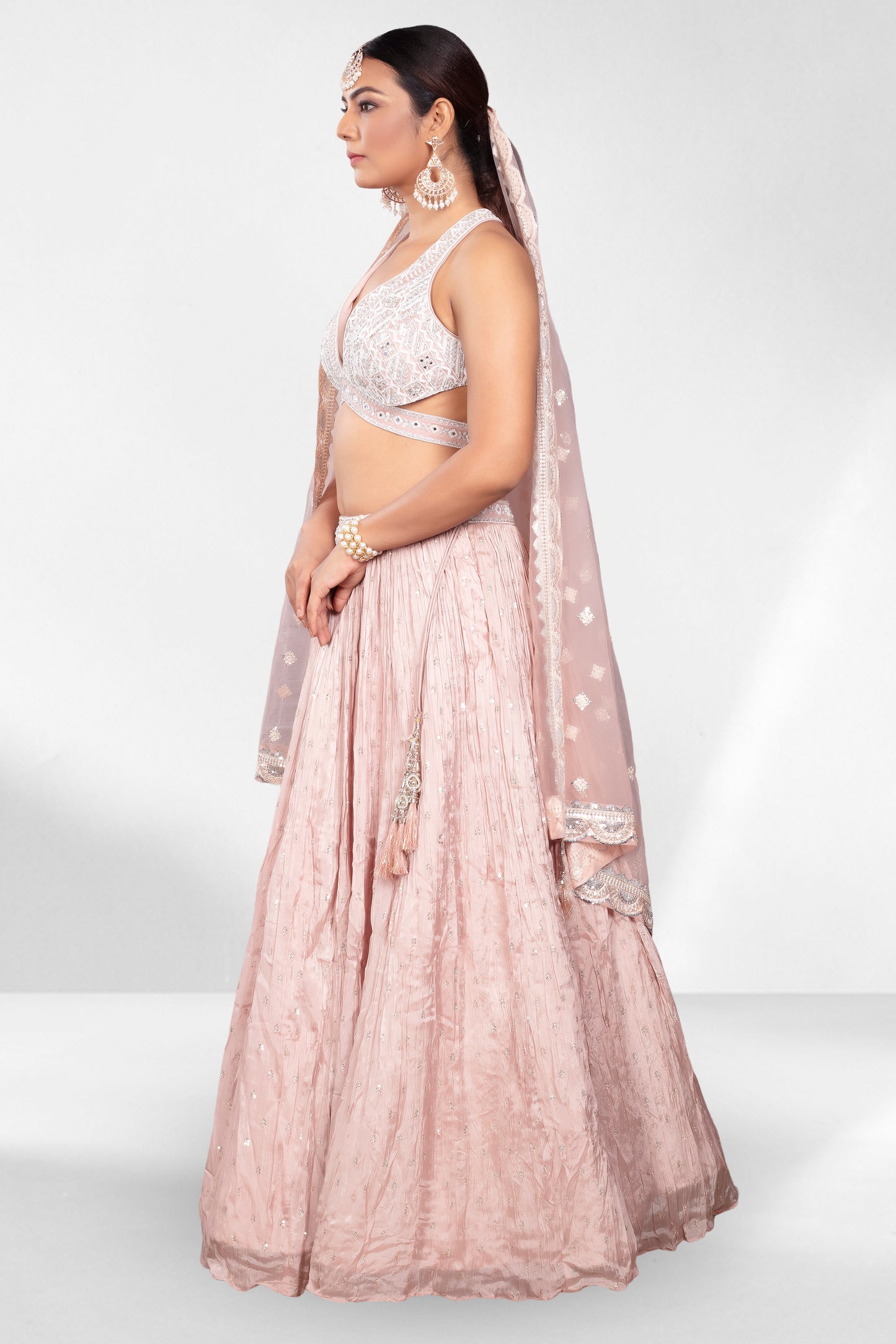 Party Wear Lehenga- A410023S