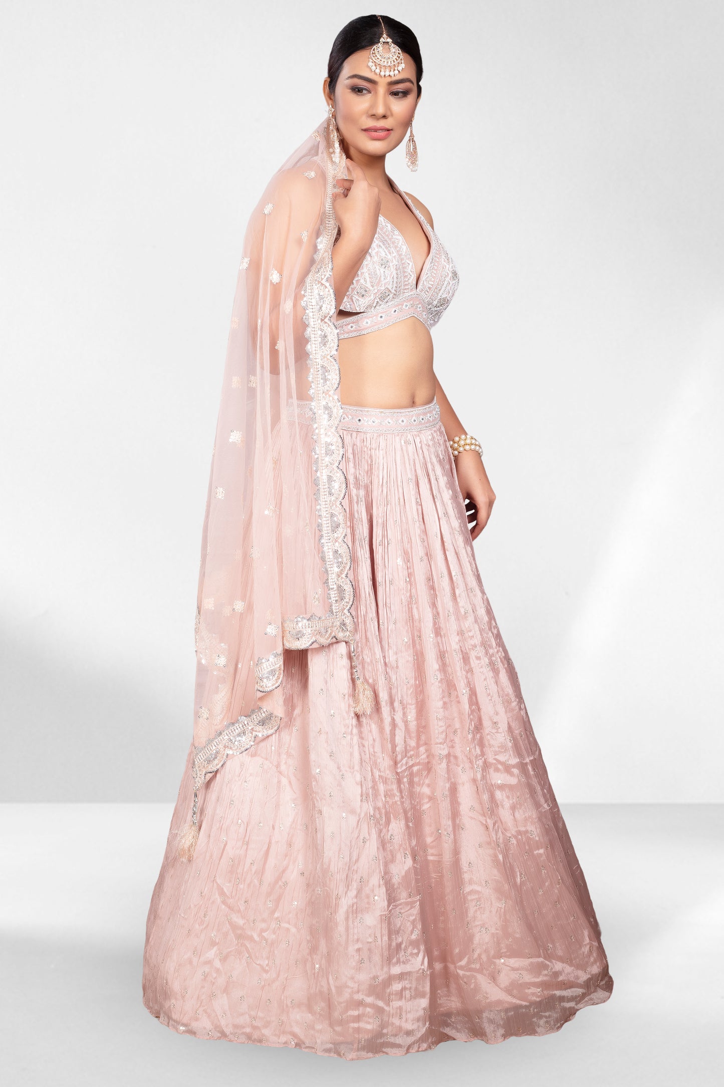 Party Wear Lehenga- A410023S