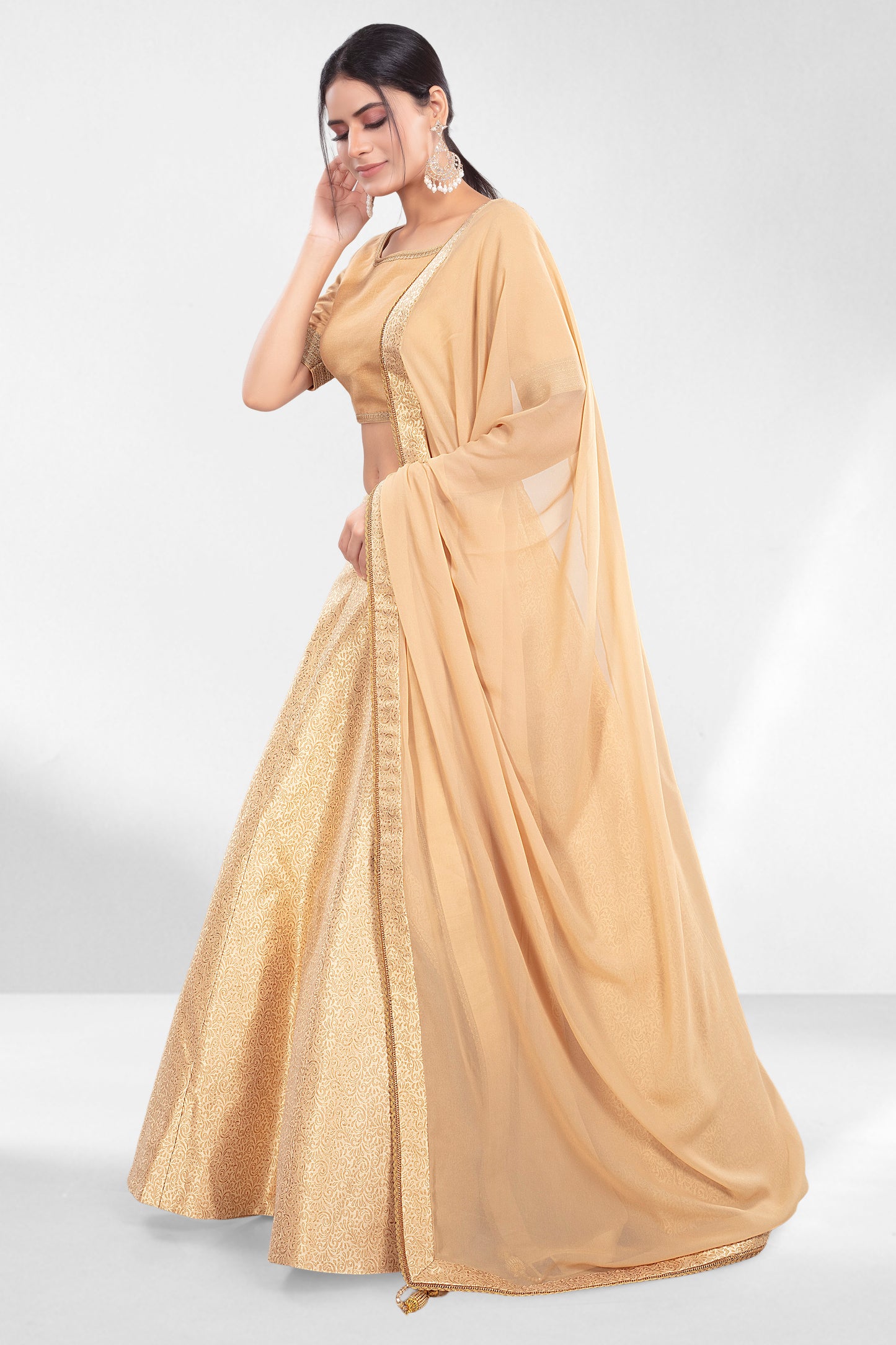 Party Wear Lehenga- J172590N
