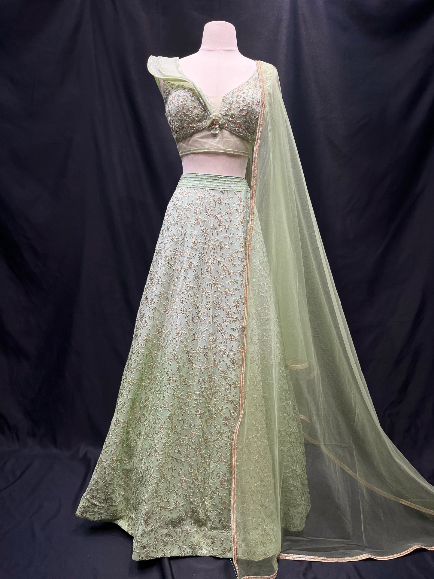 Party Wear Lehenga D-206