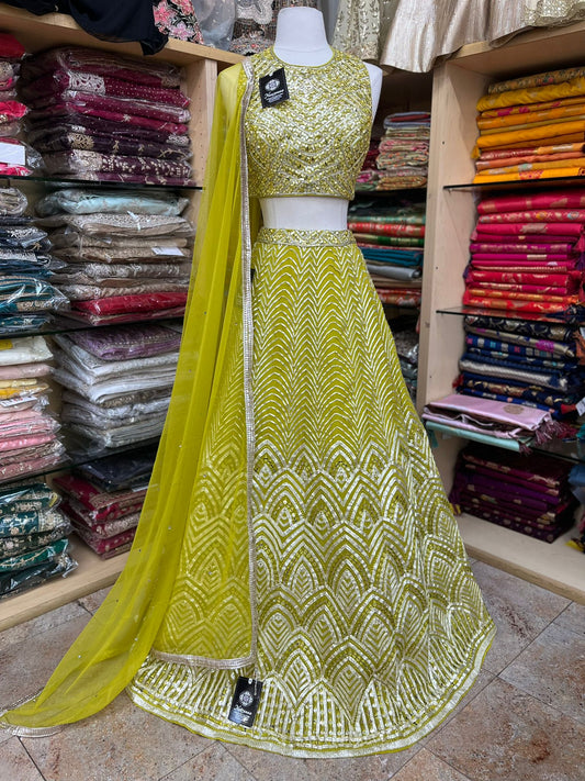 Party Wear Lehenga D-117