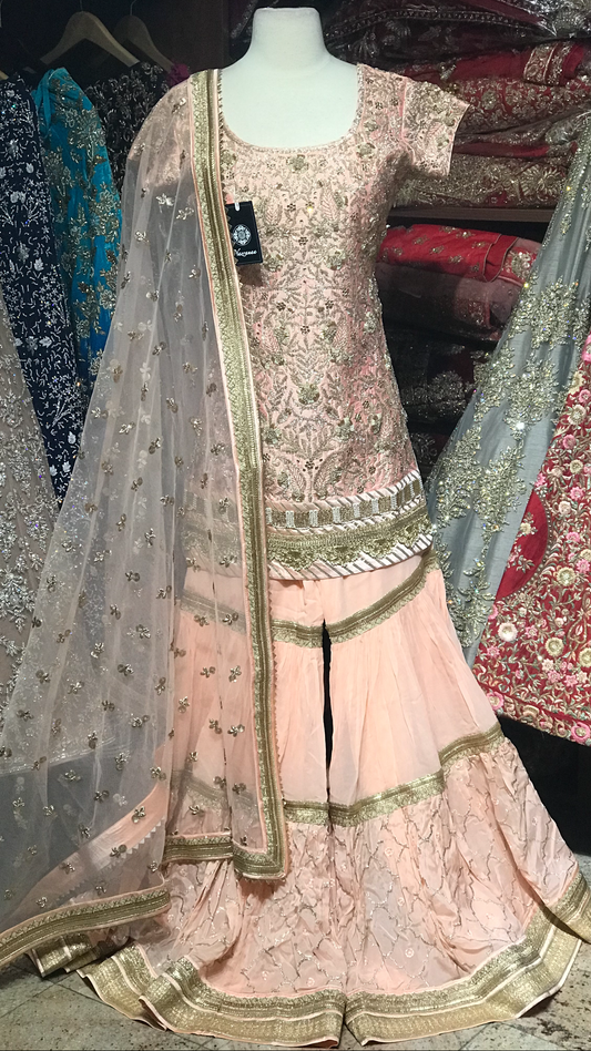 Blush Size 38 Bridal Gharara