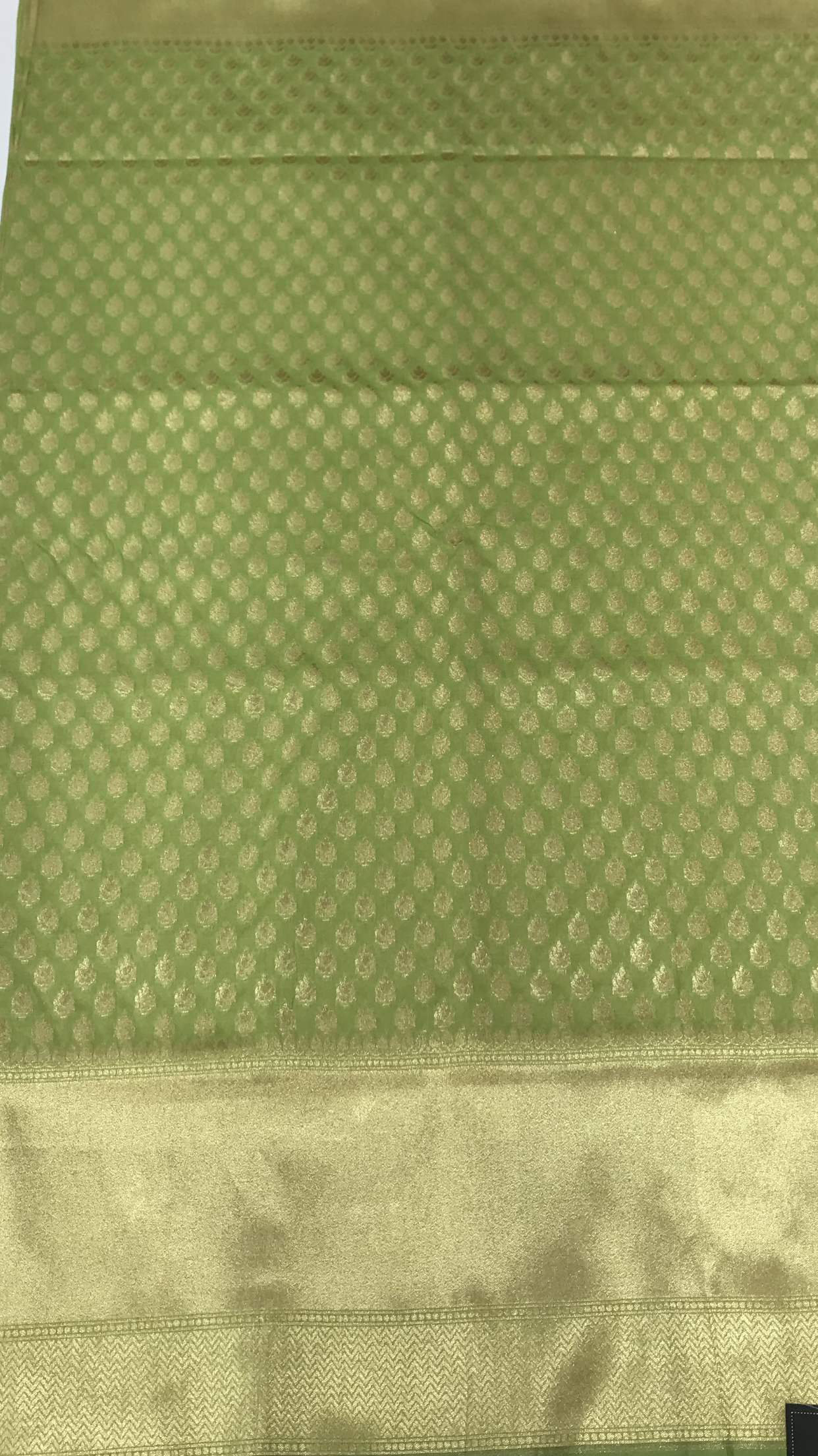 Pista Green Art Banarasi Saree