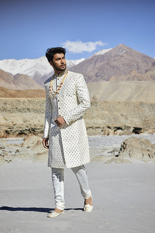 Mens Sherwani SWD5