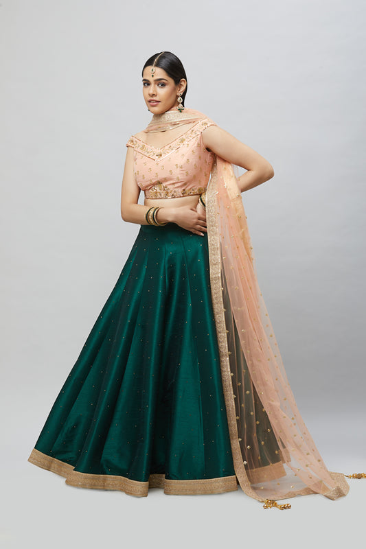 Party Wear Lehenga PLD3