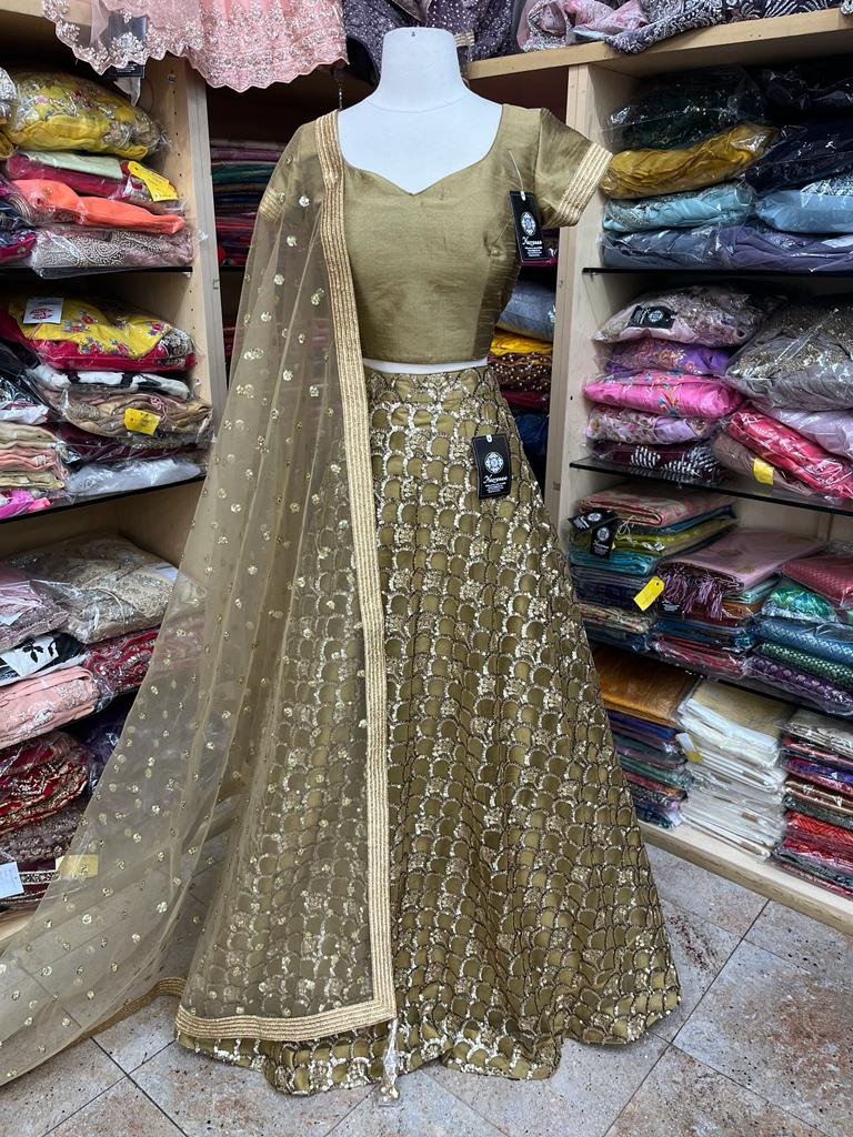 Party Wear Lehenga D-050